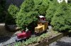 DSC_0404 - Copy.JPG