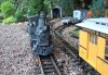 DSCF6593.JPG