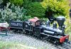 Summer rail 2013 003.JPG