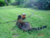 DSC01633.JPG