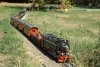 DSCF2703 _Small_.JPG
