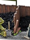 dig 200802019.JPG