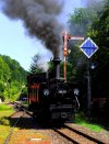a_k-Stb._Einf._Grunburg_03.08.jpg a_k-Stb._Einf._Grunburg_03.08.jpg