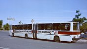 1024px-Tri-Met_Crown-Ikarus_articulated_bus,_side-rear_view,_in_Sep._1982.jpg