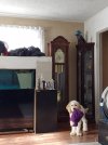 20220516_175411.jpg