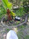 20220614_120818.jpg