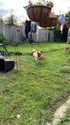 IMG_6529.jpeg