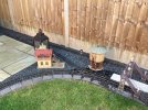 IMG_0626.jpeg