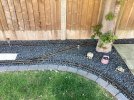IMG_0625.jpeg
