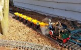 20180118_113657-calusa-creek-brunel.jpg