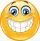 emoticon-with-big-toothy-smile-2BWX357.jpg