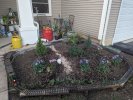 PXL_20250428_235957429.jpg