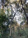 IMG_2444.jpeg IMG_2444.jpeg