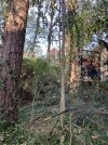 IMG_2440.jpeg IMG_2440.jpeg
