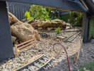 PXL_20250523_151745905.jpg