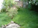 Garden looking east.jpg Garden looking east.jpg
