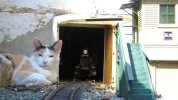 Guardian at the gate 001.JPG