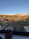 IMG_7462.jpeg IMG_7462.jpeg