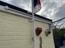 IMG_2956.jpeg