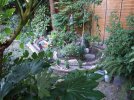 DSCF6055.JPG