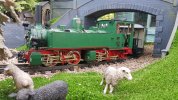 20180720_084711.jpg