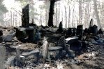 LSHstonehedge.jpg