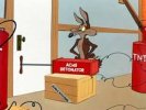 wile.jpg