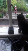 20180810_195710.jpg