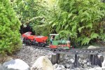 DSC_0049.JPG DSC_0049.JPG
