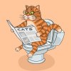 cat.jpg cat.jpg