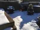 Xrot_12-30-18 - 1.jpg