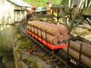 Bachmann Logs.JPG Bachmann Logs.JPG