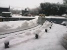 IMG_20190129_120310.jpg