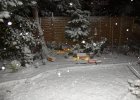 snowpic4.jpg