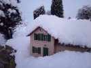 IMG_20190202_073237.jpg
