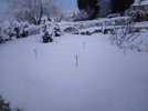 IMG_20190202_073252.jpg