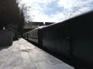 IMG_20190320_133436.jpg