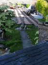 IMG_20190419_104248_1.jpg