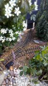 DSC_0121.JPG