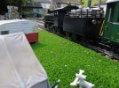 IMG_20190516_125414.jpg