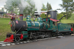 252491