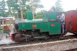 252773
