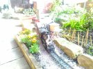 P_20190617_155902_1_p.jpg