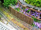 DSCF0463.JPG