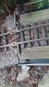 20190702_183350.jpg 20190702_183350.jpg