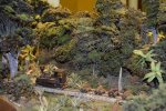 DSC_0551.JPG