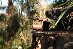 IMG_0568small.jpg