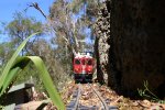 IMG_2888small.jpg