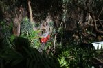 IMG_1571small.jpg