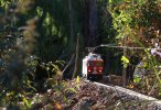 IMG_2753small.jpg